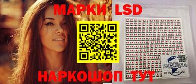 шишки Бердск