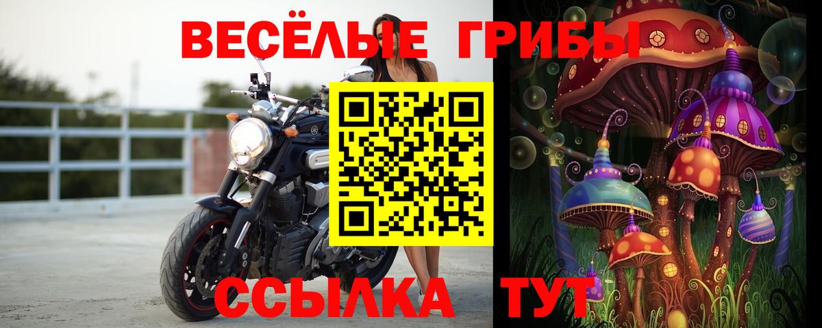 Псилоцибиновые грибы прущие грибы  Псилоцибиновые грибы Psilocybe  Глазов  Вход с VPN 